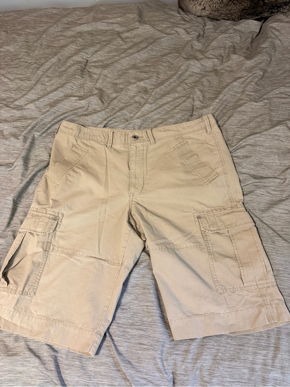 Express Men's Cargo Shorts in Khaki